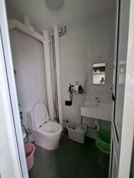 Blk 53 Pipit Road (Geylang), HDB Executive #534906551